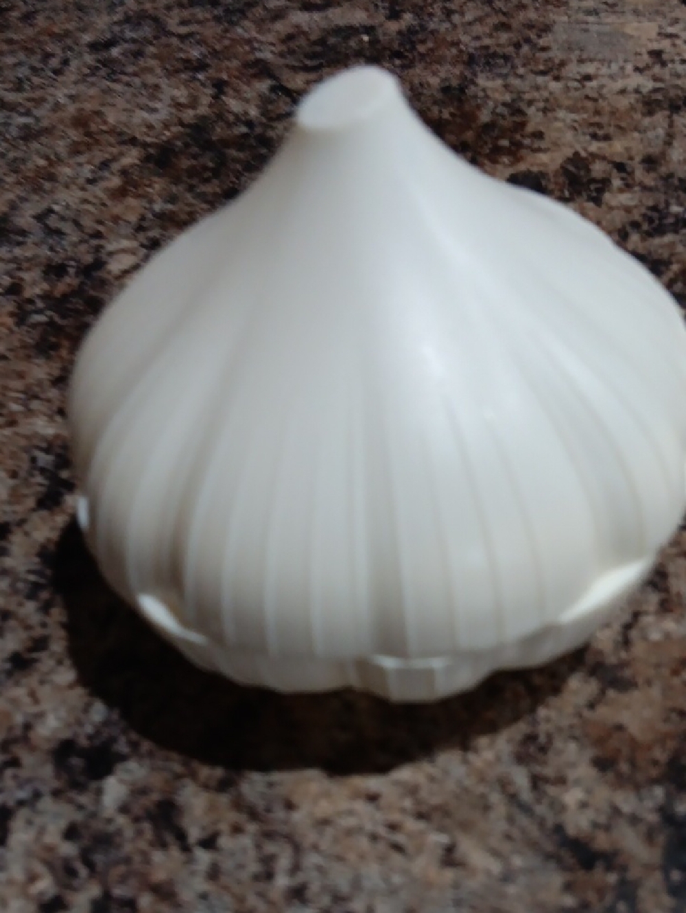 White Plastic GARLIC Holder